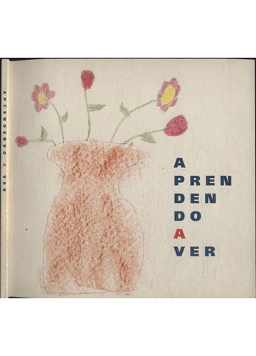 Sebo do Messias Livro - Aprendendo a Ver